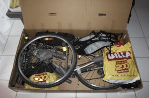 Alčino kolo Alčino kolo